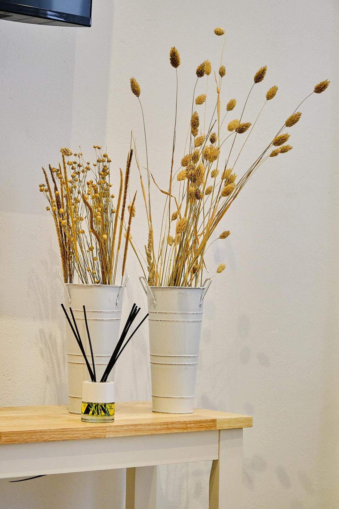 Apartamento La Perla Little Apartments Cadiz Dış mekan fotoğraf